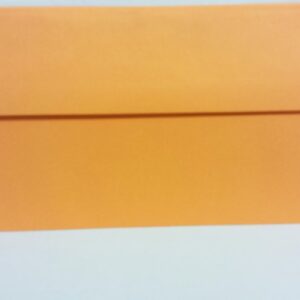 DL Envelop salmon color UK