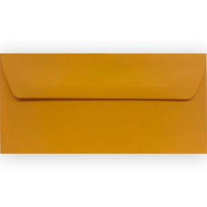 Tangerine Orange High Quality Vanguard Gummed Straight Flap DL Envelopes 120GSM